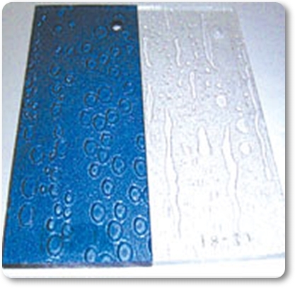 Shower Screen ll