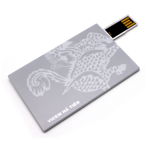 OEM Colorful Gift Card USB