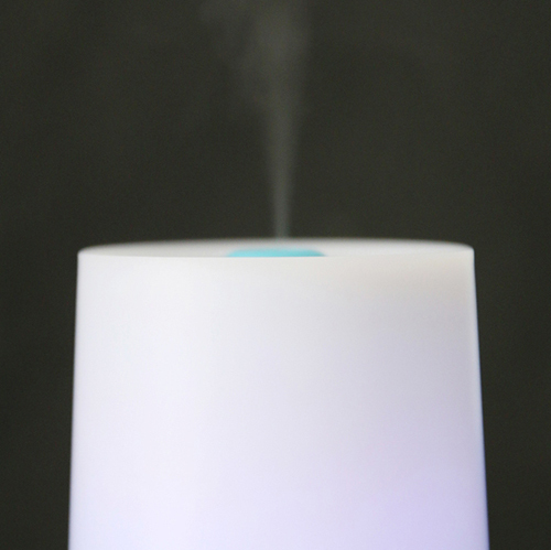 Mini USB Humidifier