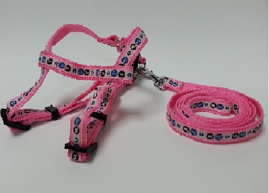 Break-Away Harness With Leash