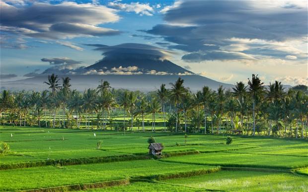 BEST OF BALI