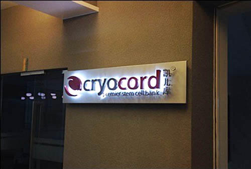 WALL LOGO PAINTING