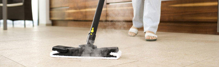 Steam Cleaners