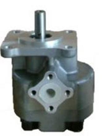 RGP-F1 SERIES GEAR PUMP - RGP-2A-F＊＊-R