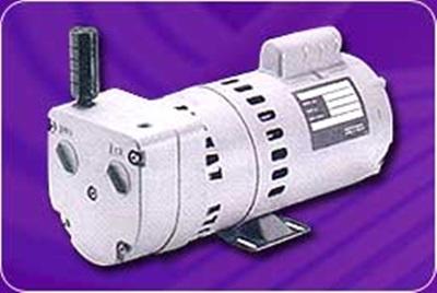 Dry Rotary Vane Vacuum Pump
