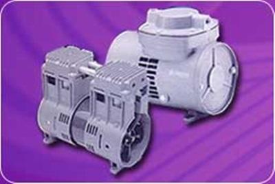 Piston, Diaphragm Dry Vacuum Pump