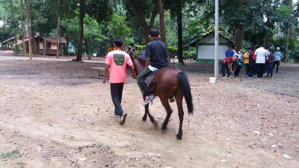 HORSE RIDING
