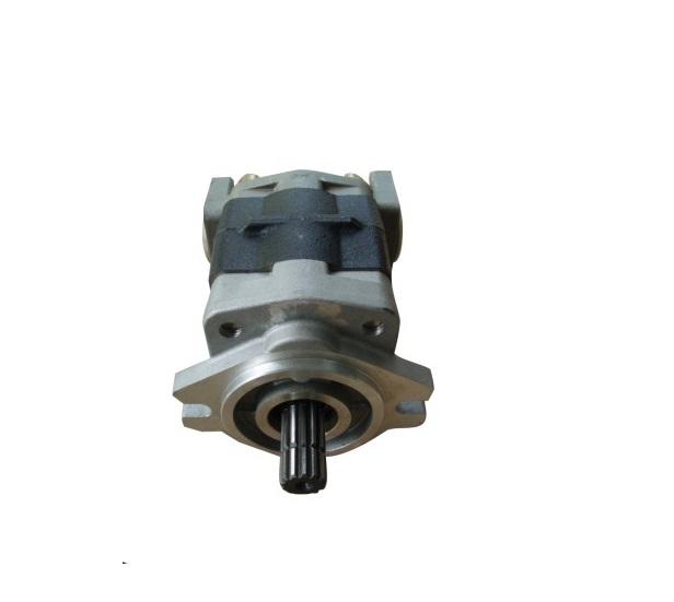 Hydraulic Pump