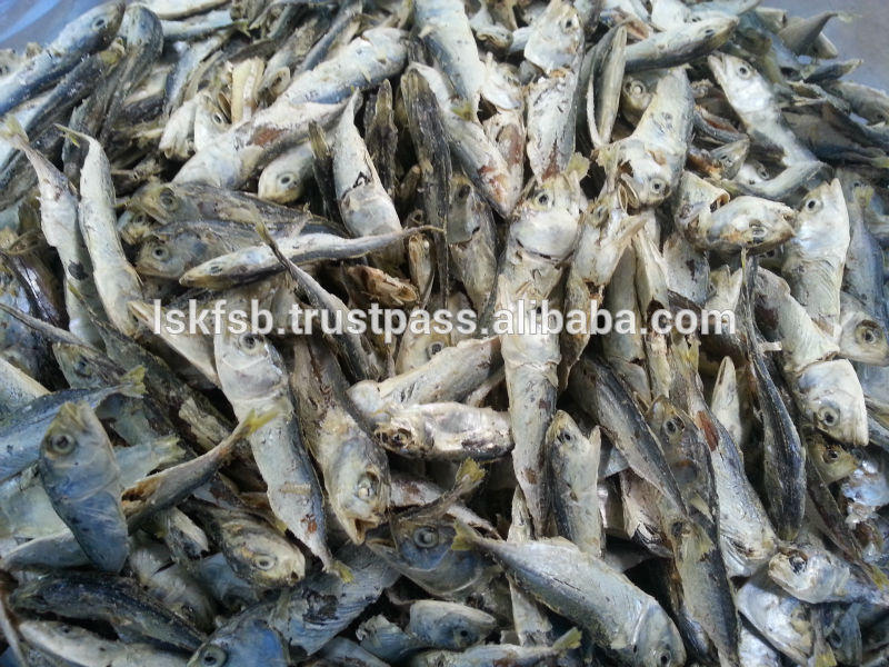 Dried Baby Mackerel