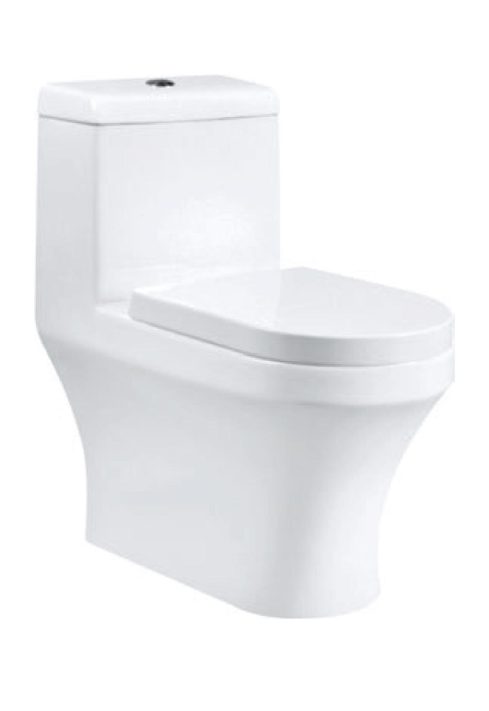 Water Closet Washdown (SRTWC287)