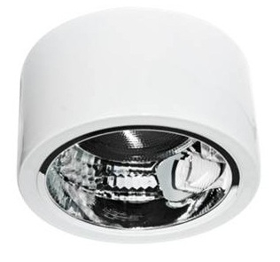 6" Round Surface Downlight