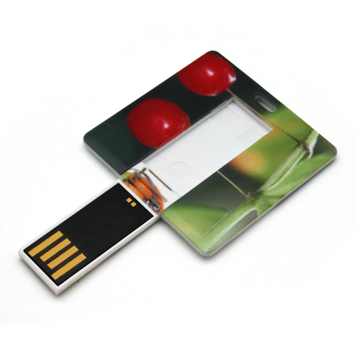 Mini USB Card