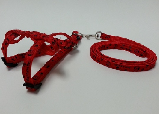 Break-Away Harness With Leash