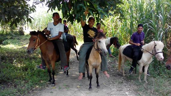 HORSE RIDING