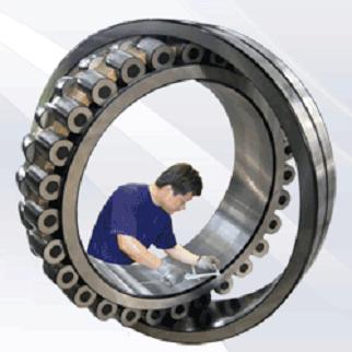 LARGE BEARING