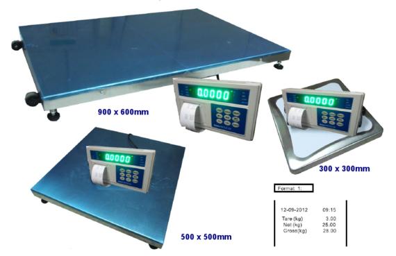 DPS(SWI-P) Series Portable Scale