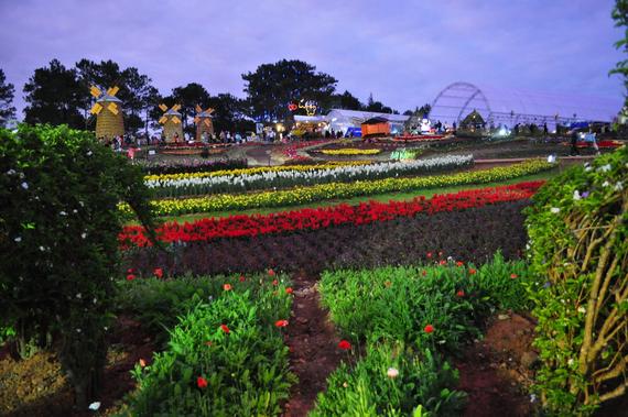 5D4N Nha Trang / Dalat