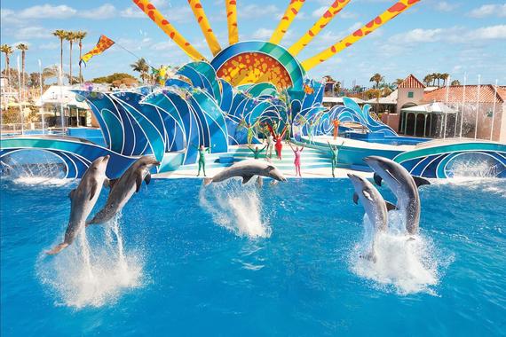 5D4N Gold Coast ~ Tangalooma Experience