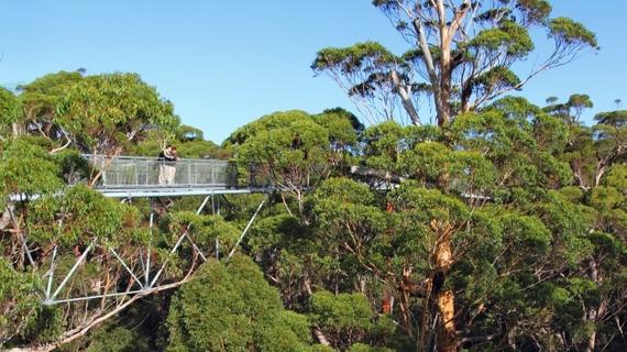 4D3N Perth Discovery