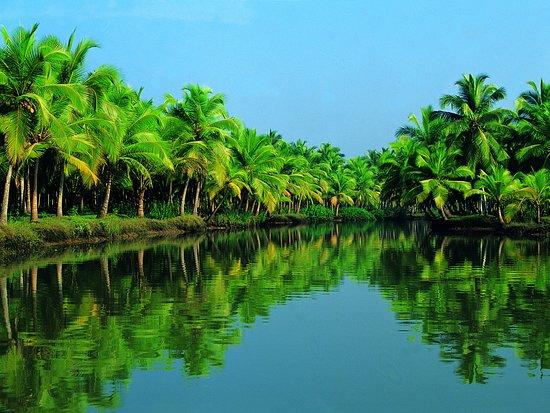 5D4N Essence of Kerala