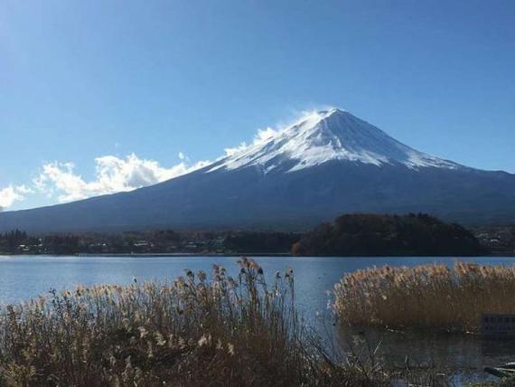5D4N Japan Delight ~ Tokyo/Hakone/Mt Fuji/Shinjuku