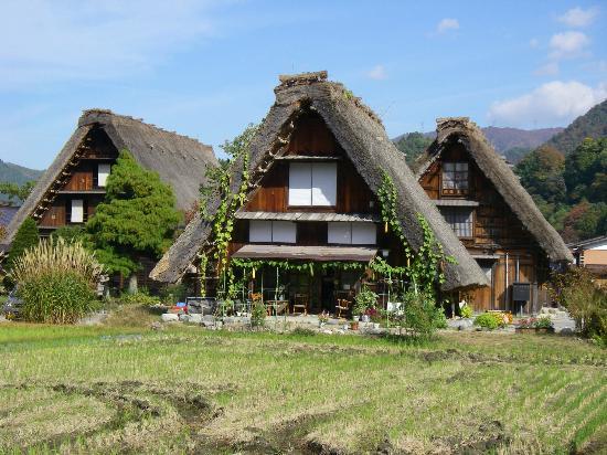 6D5N Central Japan ~ Osaka/Kyoto/Nagoya/Shirakawa/Tokyo (PRIVATE TOUR 4 TO GO)