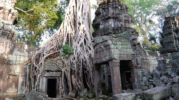 4D3N Siem Reap