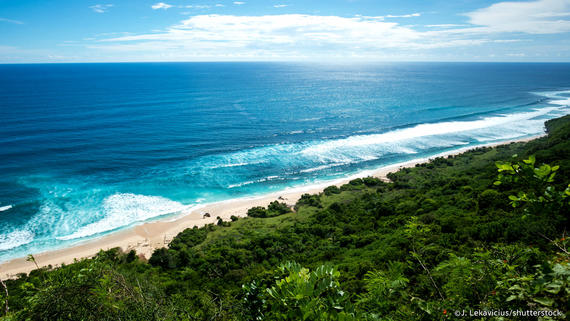 5D4N Bali Dolphin