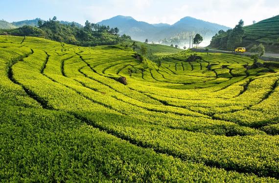 5D4N Jakarta / Puncak / Bandung