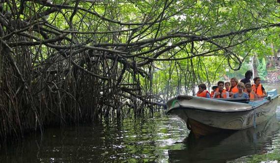 5D4N AMAZING SRI LANKA