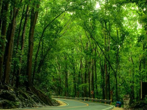 4D3N Cebu / Bohol