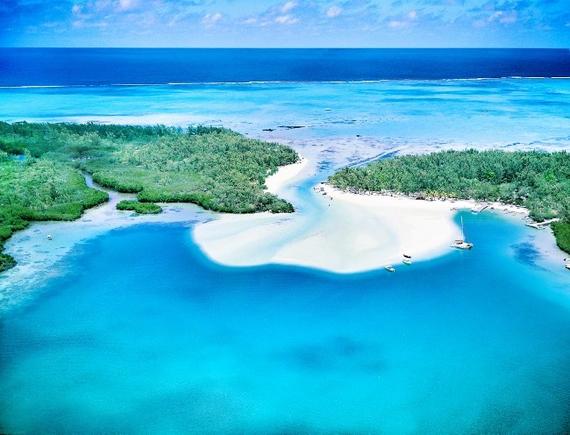4D3N Cebu / Bohol / Oslob Whaleshark Watching Tour / Sumilon Island