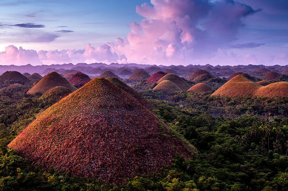 4D3N Cebu / Bohol / Oslob Whaleshark Watching Tour / Kawasan Falls