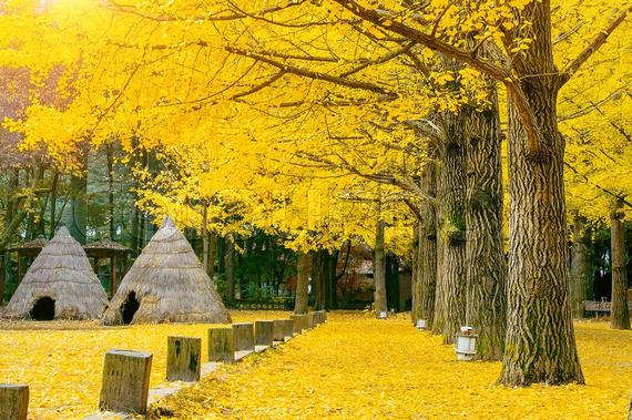 6D4N SEOUL/NAMI ISLAND / MOUNT SORAK