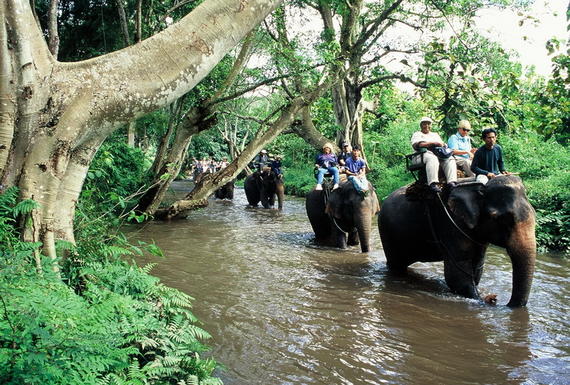 5D4N CHIANGMAI/CHIANGRAI