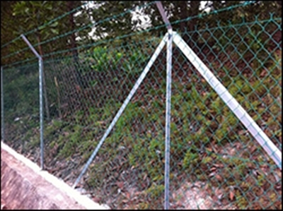 Chain Link Fencing   AUO Sunpower 02