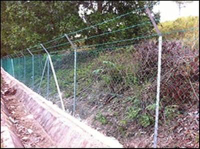 Chain Link Fencing  AUO Sunpower 01
