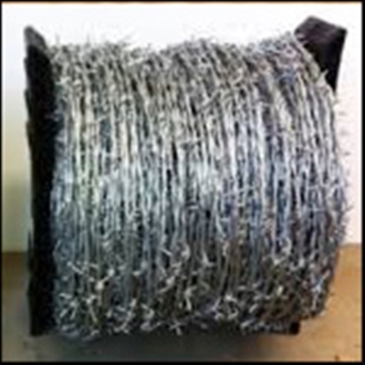 Galvanized Barbed Wire