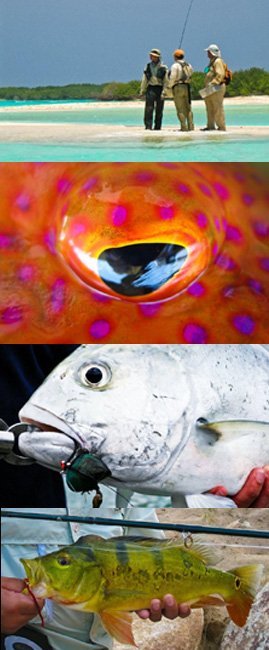 Coho Fishing Tackle