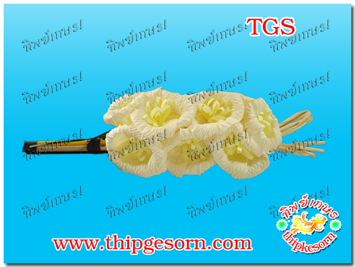 TGS183