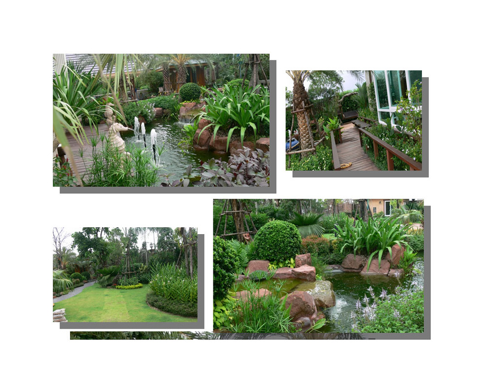 แต่งสวนบ้านคุณปู