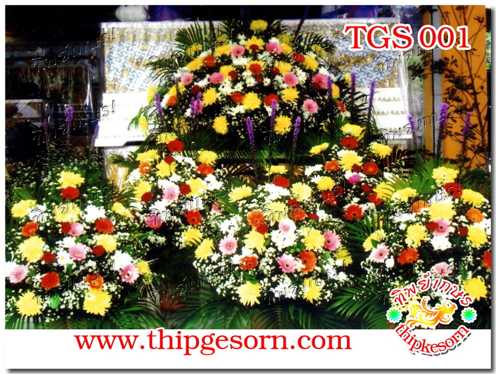 TGS001