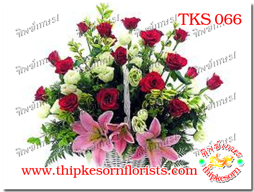 TKS066