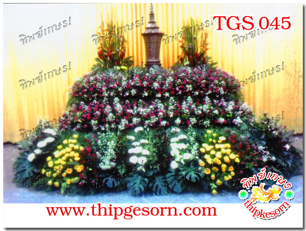TGS045