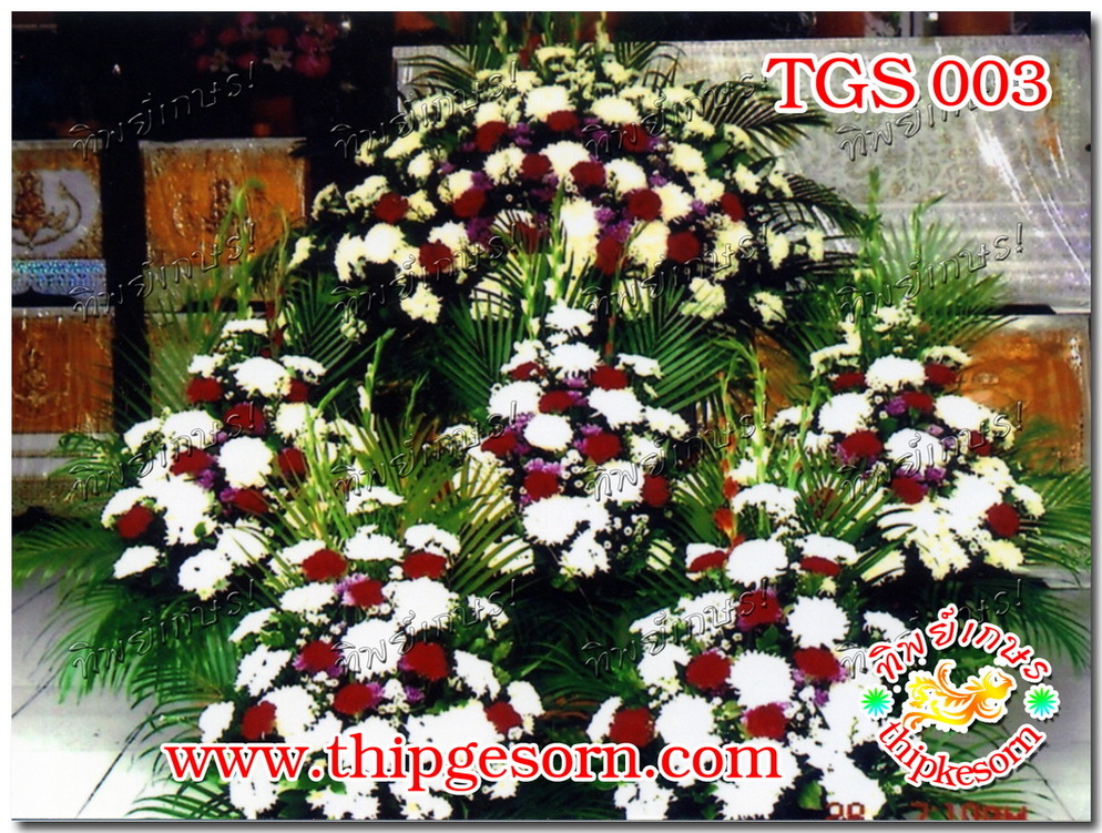 TGS003