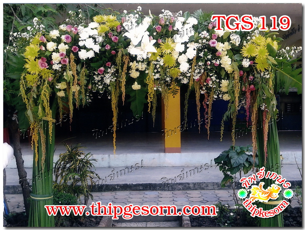 TGS119