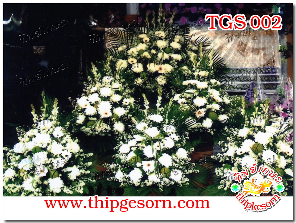 TGS002
