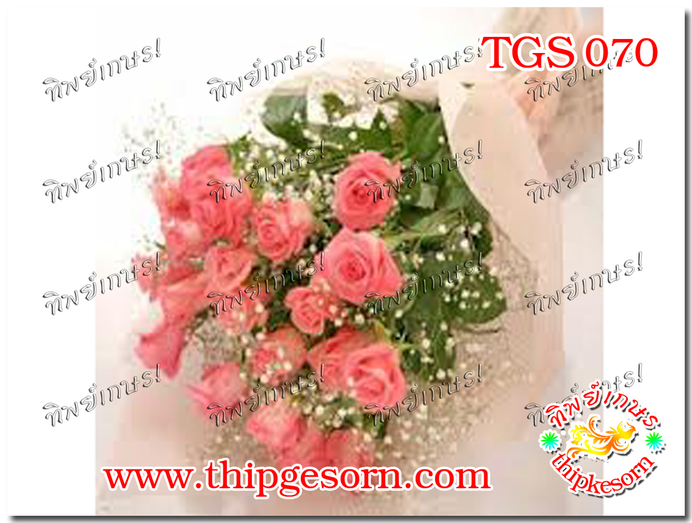TKS070