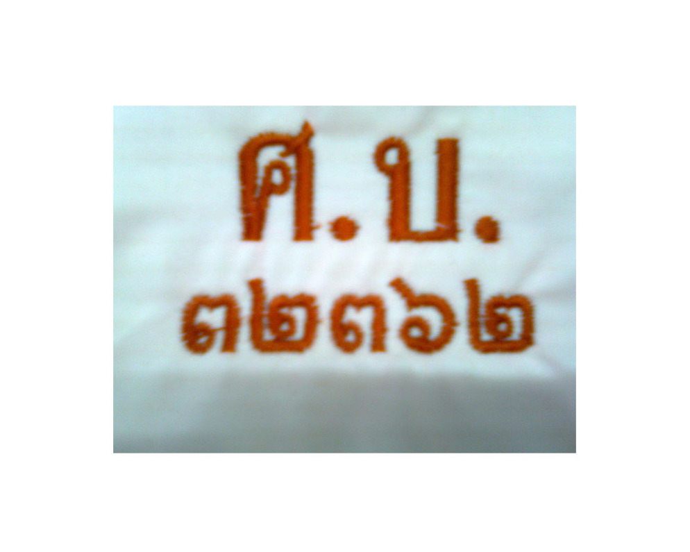 ปักเสื้อ แบบที่ 5