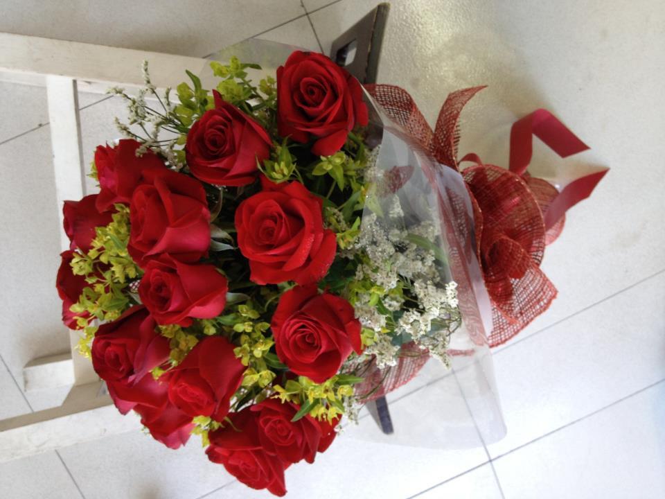 Rose 7